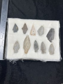 Group of Arrow Points. Riker Frame Included from kentucky