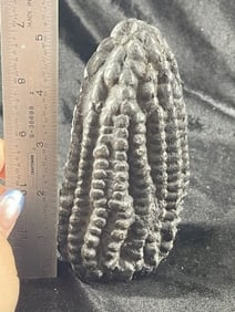 Peruvian Maize Shaman Offering Indian Artifact Arrowhead