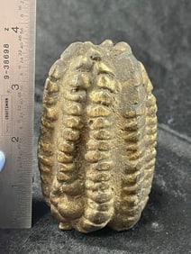 Peruvian Maize Shaman Offering Indian Artifact Arrowhead