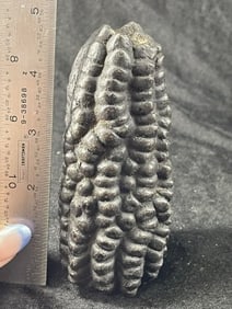 Peruvian Maize Shaman Offering Indian Artifact Arrowhead