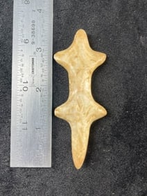 3 & 1/2" Flint Polished Lizard Indian Artifact Arrowhead
