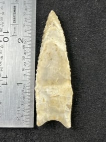 2 & 5/8" Dalton Indian Artifact Arrowhead