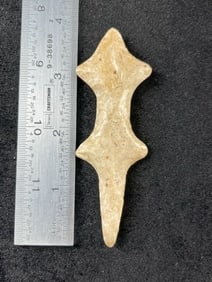 3 & 3/4" Polished Flint Lizard Indian Artifact Arrowhead