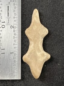Polished Flint Lizard Indian Artifact Arrowhead