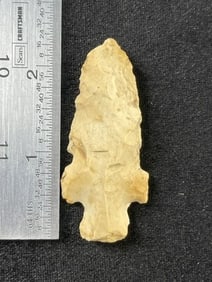 Evans Point Indian Artifact Arrowhead