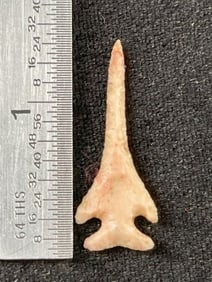 Texas Arrow Point Indian Artifact Arrowhead