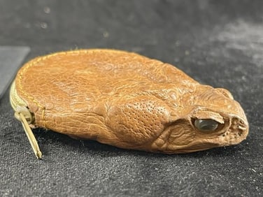 Frog Taxidermy Change Purse