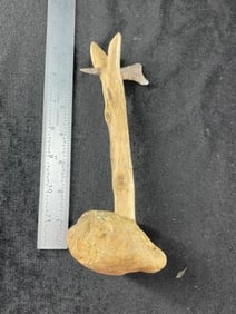 Arrowhead embeded in wood contemporary