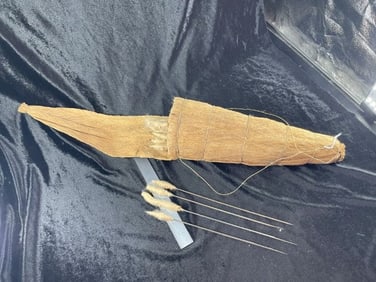 South American Blow Darts with Quiver
