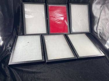 6 8x12 Riker Frames