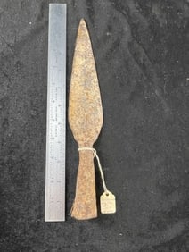 Revolutionary Pike Head