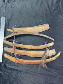 Bone Breast Plate