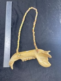 Jaw Bone with Trade Bead Necklace