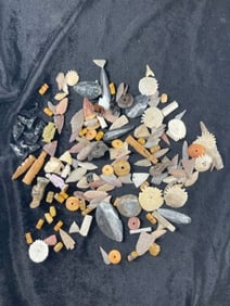 Group of Arrowheads, Beads, Fossils, etc