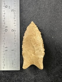 2 & 1/4" Dalton Indian Artifact Arrowhead