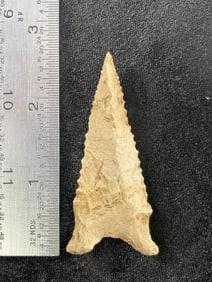 2 & 1/2" Dalton Indian Artifact Arrowhead