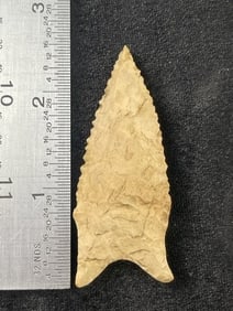 2 & 5/8" Dalton Indian Artifact Arrowhead