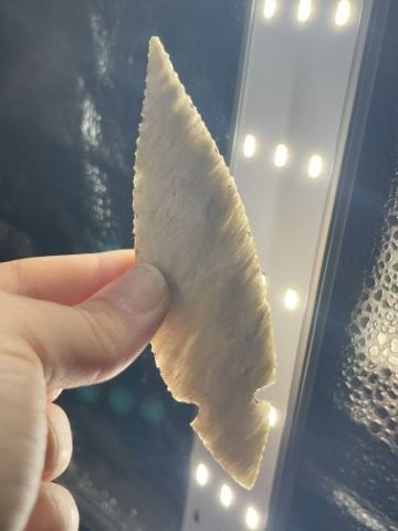 4 & 3/8" Turkeytail Indian Artifact Arrowhead (1 of 4)