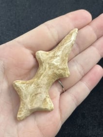 3 & 1/8" Polished Lizard Indian Artifact Arrowhead