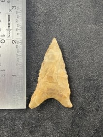 Dalton Indian Artifact Arrowhead
