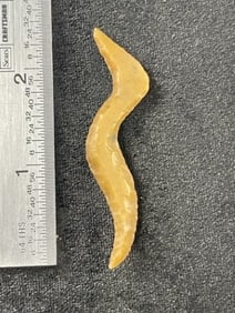 Snake Effigy Indian Artifact Arrowhead