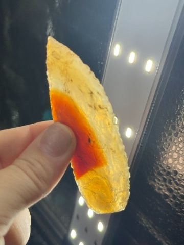 Agate Basin Indian Artifact Arrowhead: KEY WORDS: INDIAN ARTIFACT ARTIFACTS ARROWHEAD ARROWHEADS NATIVE AMERICAN MISSISSIPPIAN QUAPAW CADDO POTTERY COINS MORGAN DOLLAR PEACE DOLLAR SILVER COINS Arkansas. Now taking in consignments for pre-