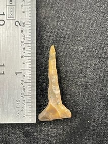 Drill Indian Artifact Arrowhead