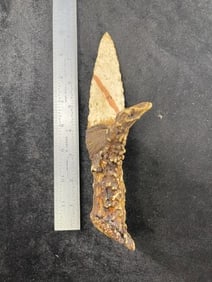Hafted Obsidian Blade Indian Artifact Arrowhead