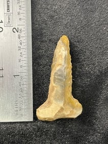 Petrified Wood Drill Indian Artifact Arrowhead