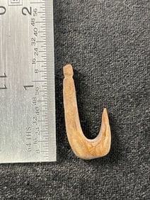 Bone Hook Indian Artifact Arrowhead