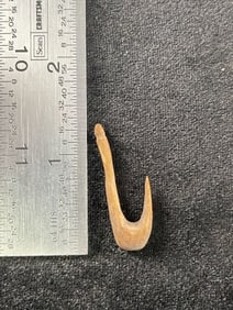 Bone Hook Indian Artifact Arrowhead