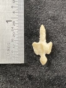 Very Nice Arrow Point