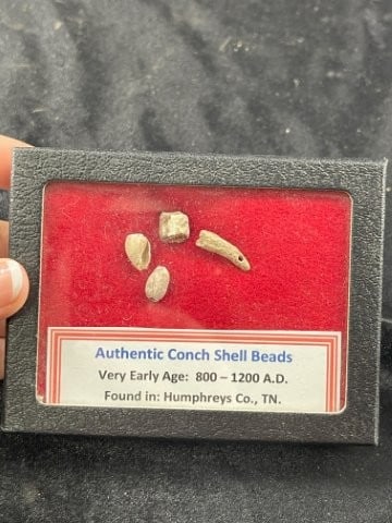 Authentic Conch Shell Bead Riker Frame Included (1 of 1)