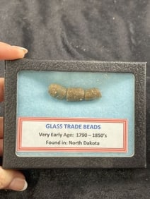 Glass Trade Beads Riker Frame Included
