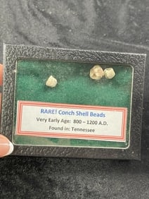 Authentic Conch Shell Bead Riker Frame Included