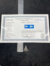 Catahoula Point with Sam Johnson COA Indian Artifact Arrowhead