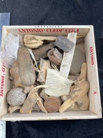 Group of Bone Tools, Hardstone, Beads, etc