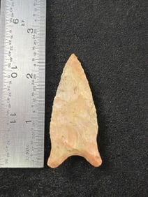 Dalton Indian Artifact Arrowhead