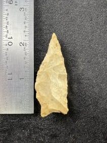Dalton Indian Artifact Arrowhead