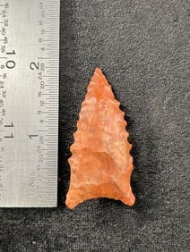 Dalton Indian Artifact Arrowhead