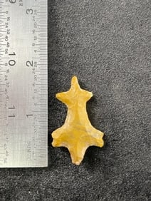 Turtle Effigy yellow jasper from Brester County Big Bend, Texas ex - Delk Collection Indian Artifact
