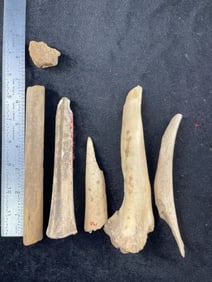 Group of Bone Tools Indian Artifact Arrowhead