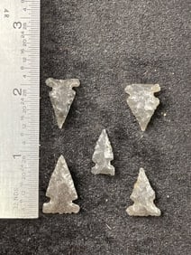 Group of Arrow Points Indian Artifact Arrowhead