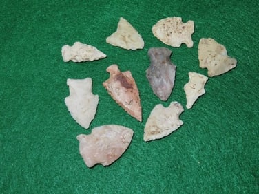 Lot of Nice Bird Points Indian Artifact Arrowhead