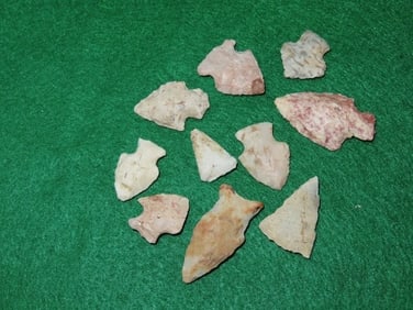 Group of Nice Bird Points Indian Artifact Arrowhead