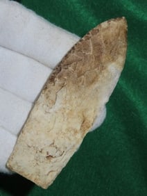 4 & 1/8" Sedali Point ex - Kovack Collection Indian Artifact Arrowhead