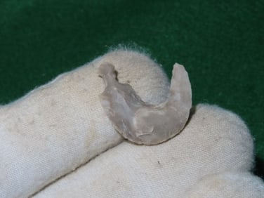 1" Fish Hook Indian Artifact Arrowhead
