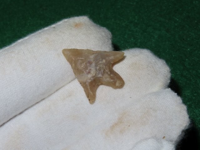 1" Transluscent Bird Point Indian Artifact Arrowhead (1 of 4)