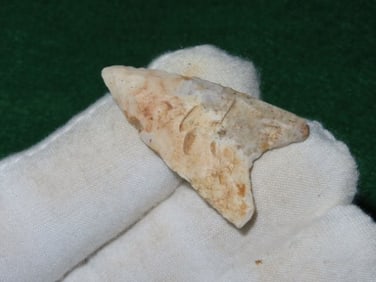 1 & 5/8" Bird Point Indian Artifact Arrowhead