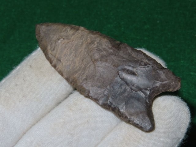 2 & 1/2" Dover Dalton Indian Artifact Arrowhead: KEY WORDS: INDIAN ARTIFACT ARTIFACTS ARROWHEAD ARROWHEADS NATIVE AMERICAN MISSISSIPPIAN QUAPAW CADDO POTTERY COINS MORGAN DOLLAR PEACE DOLLAR SILVER COINS Arkansas. Now taking in consignments for pre-